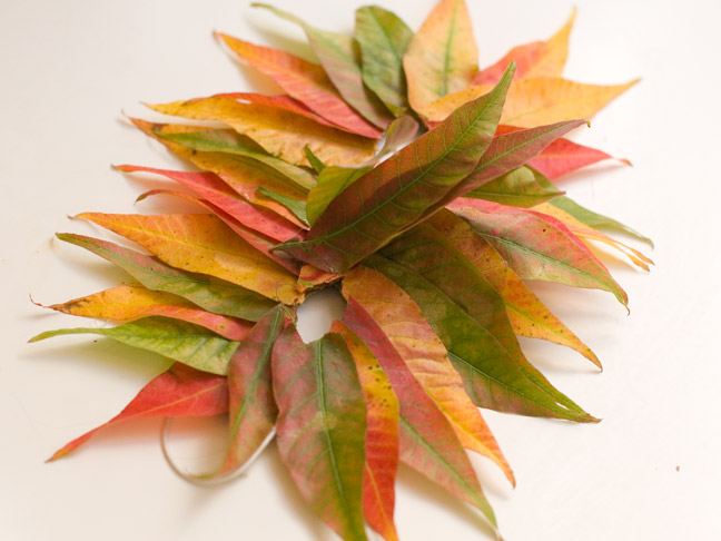 DIY: Fall Leaf Masks