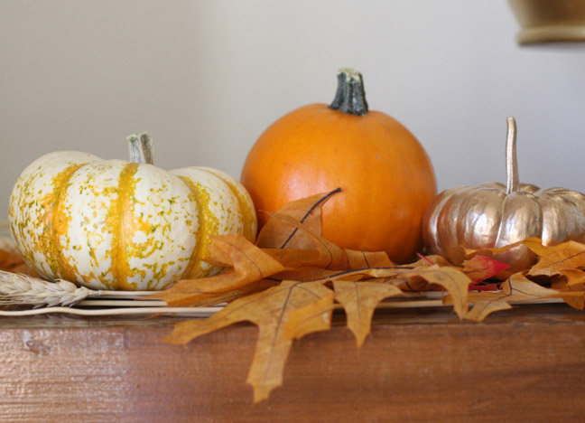 DIY: Painted Pumpkins