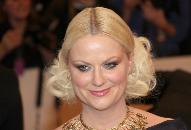 amy poehler