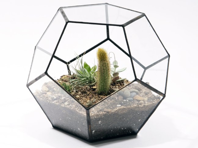 Handmade Glass Terrariums By Score and Solder