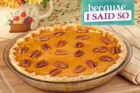 Because I Said So Blog: Pumpkin Pie Promotion