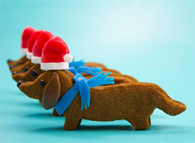 Christmas Cookies - Dog Cookies