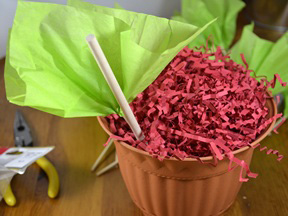 Cupcake Bouquet - Step 12