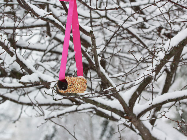 Bird Feeder Craft for Kids - Step 5