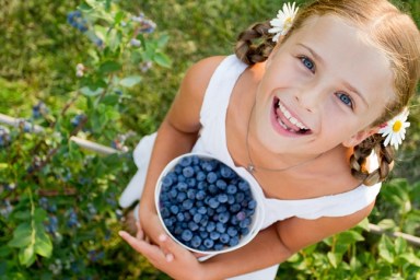 Berry Picking with Kids