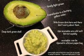 Avocado for Baby