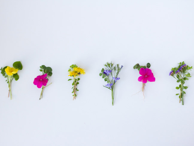 mini wildflower bouquets