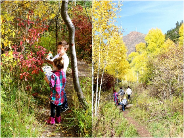 fall bingo hike