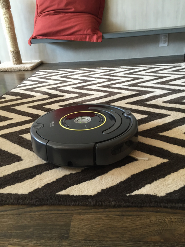 irobot-roomba-review-carpet