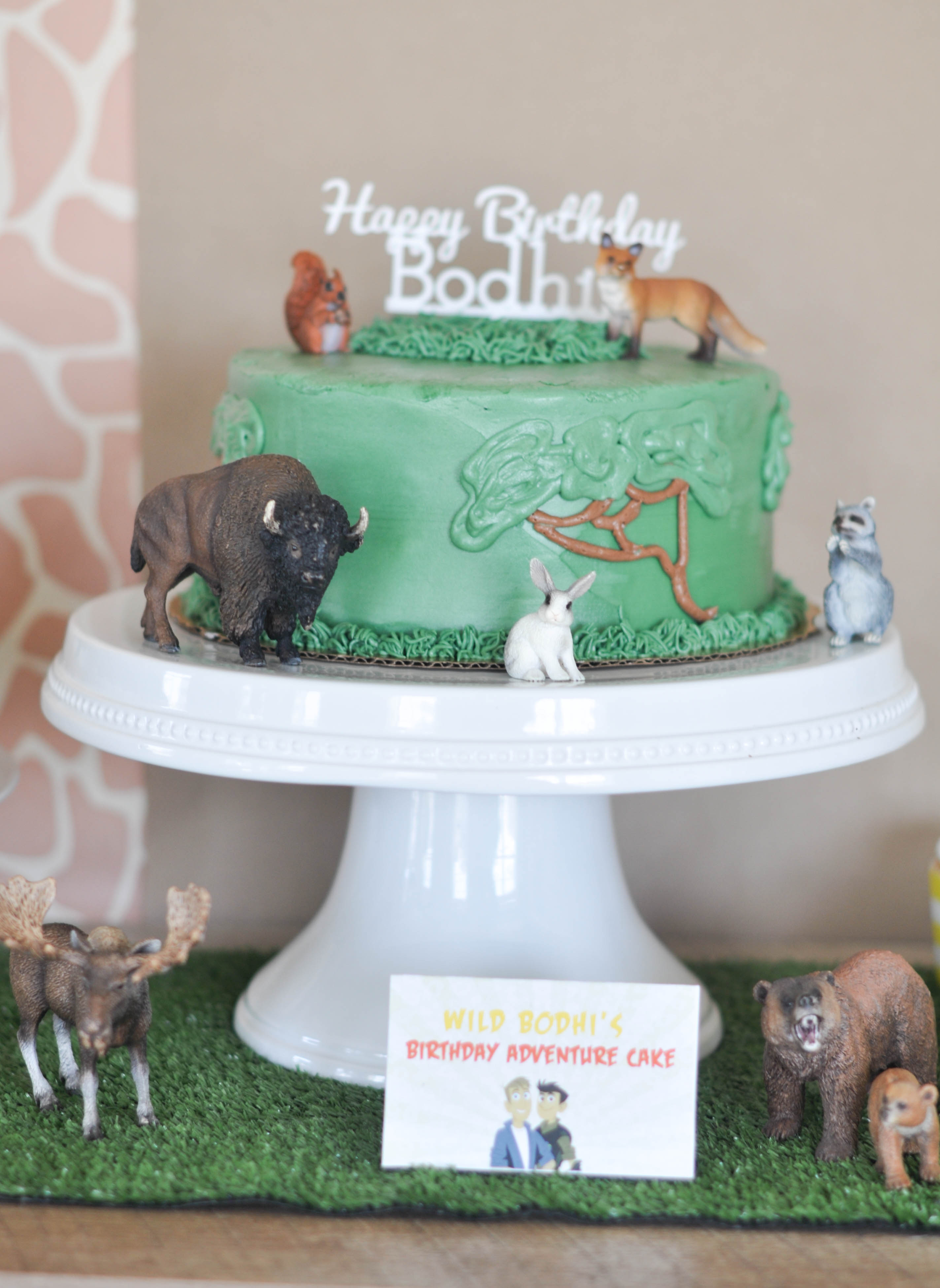 A Wild Kratts fourth birthday celebration plus a budget friendly backdrop