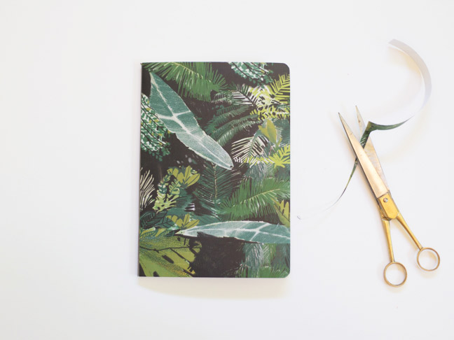 notebook-palm-paper-gold-scissors