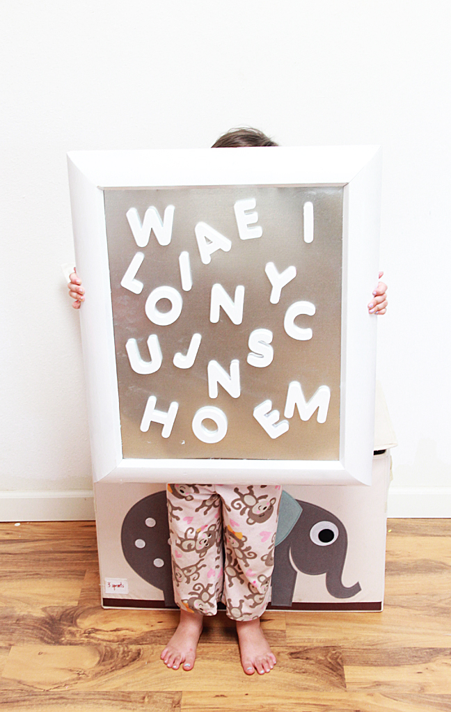 magneticframediy magneticframediy