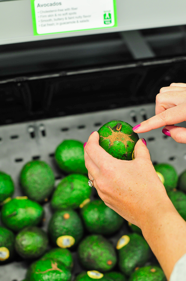 Tips For Picking The Right Avocado Tips For Picking The Right Avocado