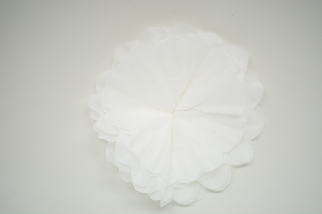 coffee filter peony