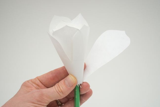 white paper flowers