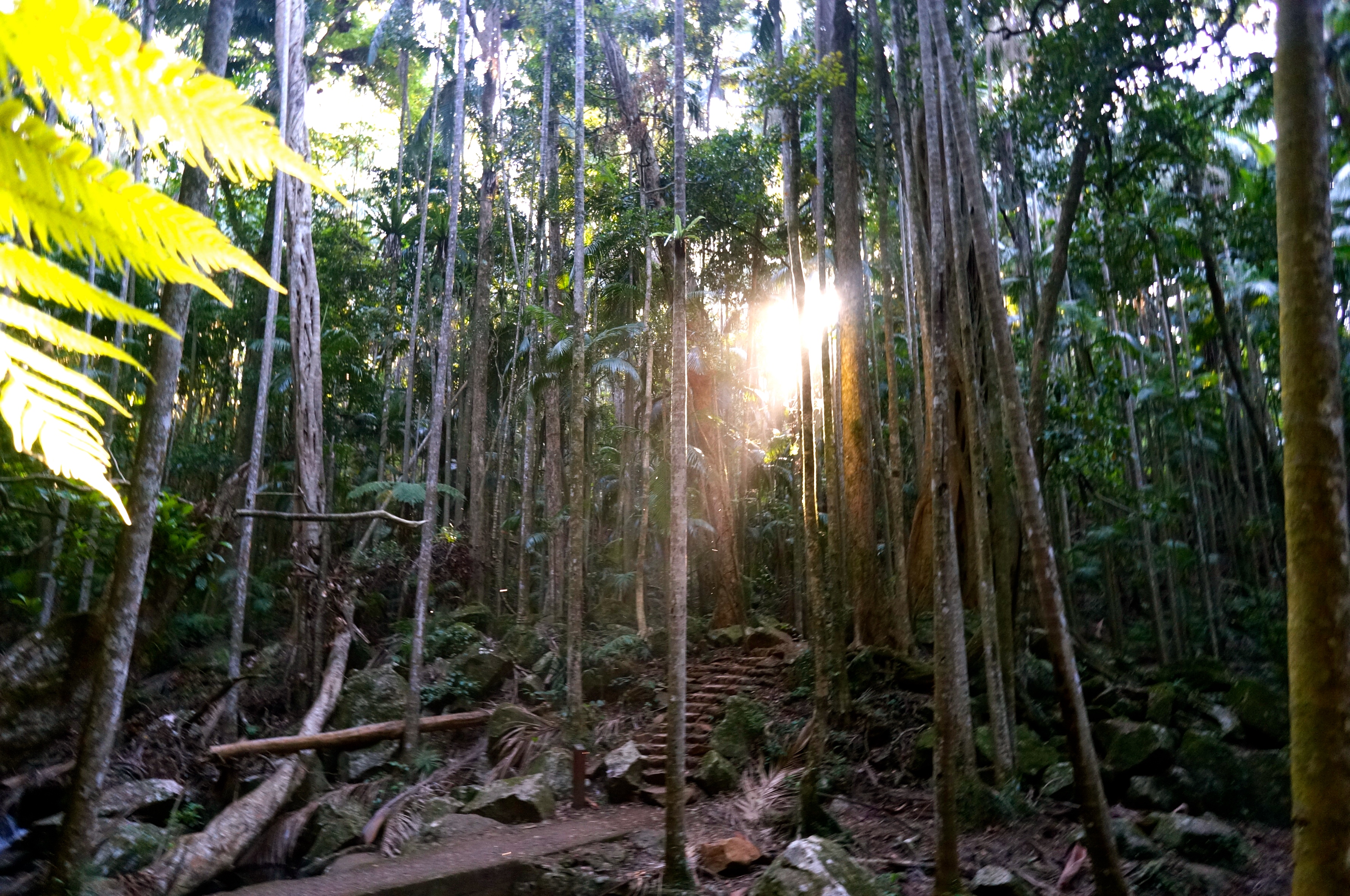 The Outdoor Classroom - What kids can learn from being in the bush