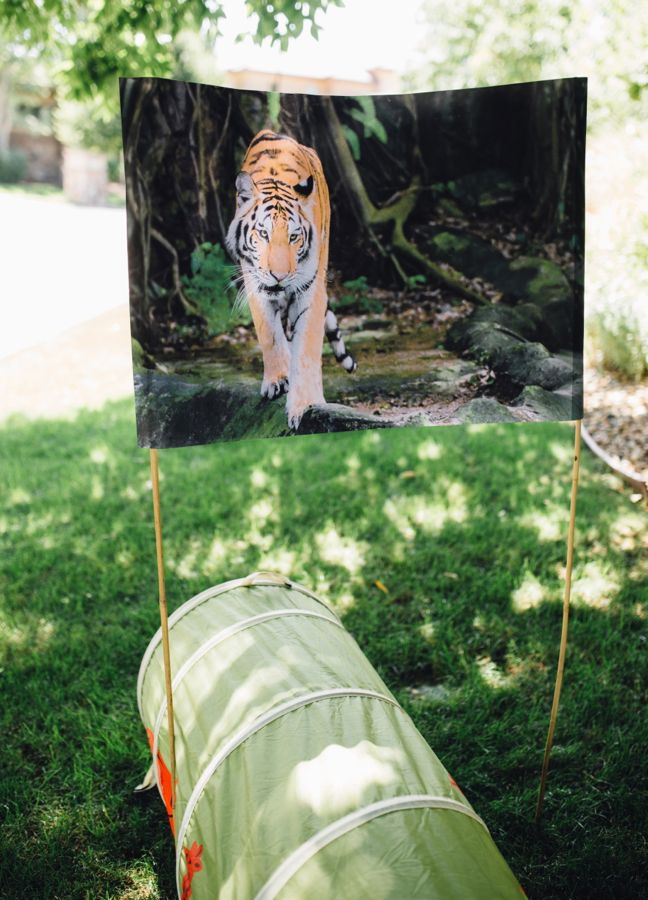 tiger-jungle-diy-obstacle-course