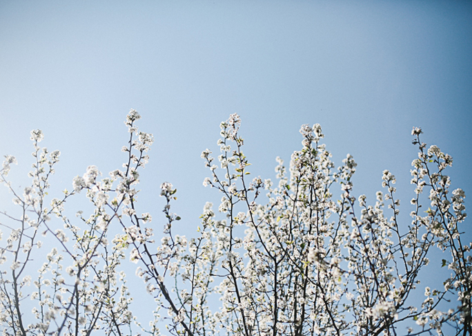 Quick spring clean - get it done in a day