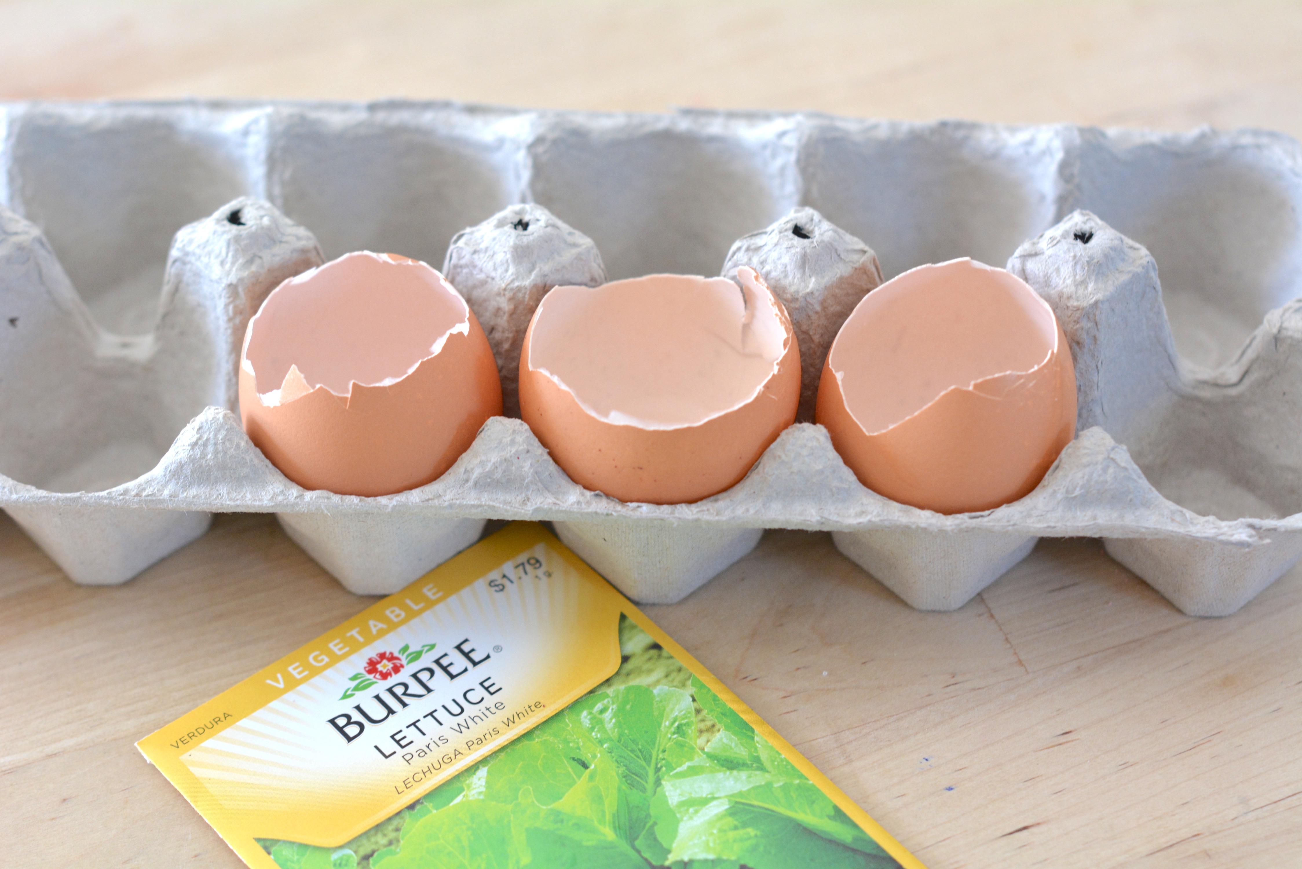 broken eggshells egg crate