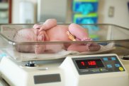 Average Baby Weight