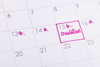 When Do You Ovulate?