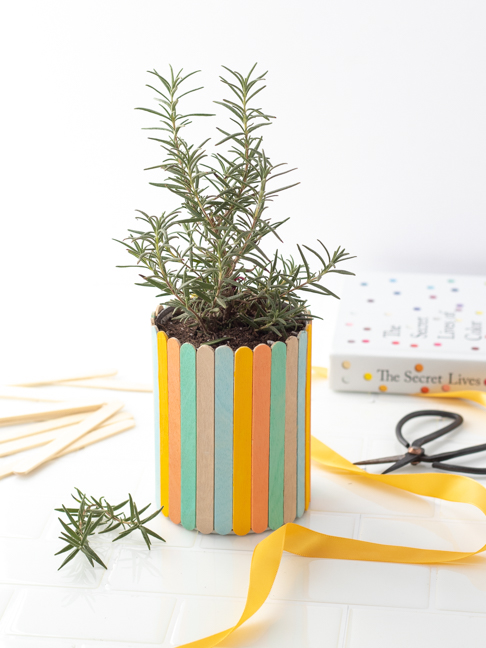 Dads Will Love This Painted Popsicle Stick Planter for Father’s Day