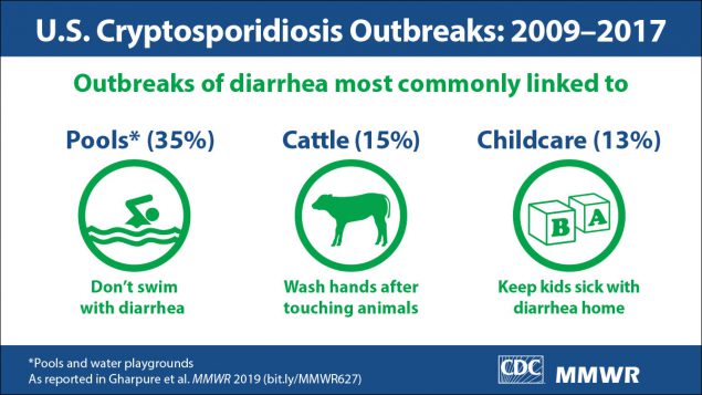 CDC Warns of ‘Crypto Parasite’ Found in City Pools and OMG No