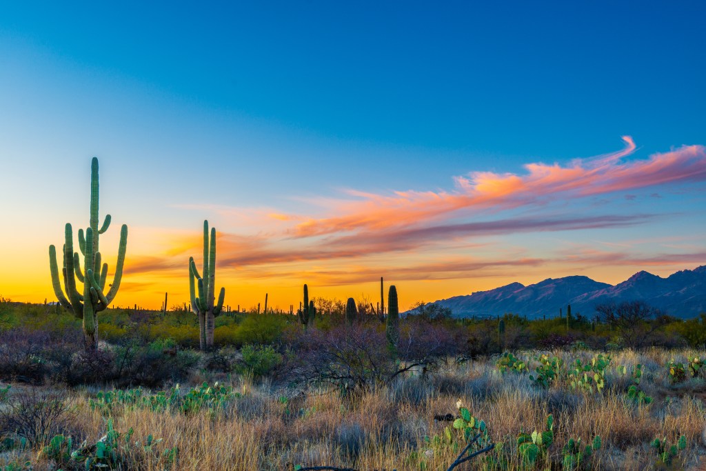 Family activities in Tucson