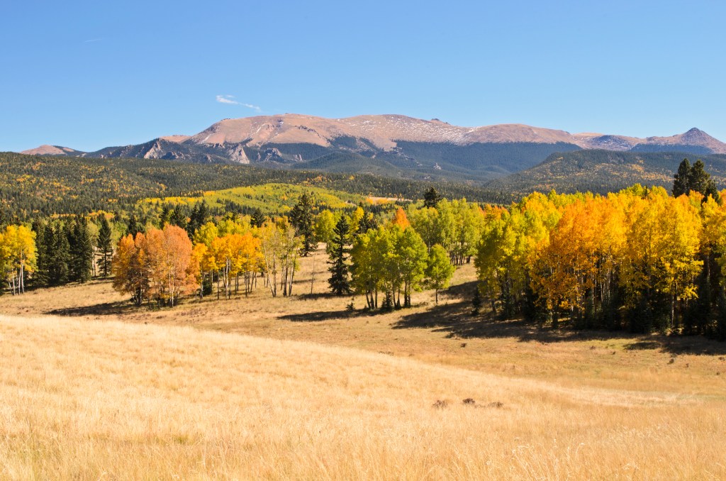 hiking trail in colorado