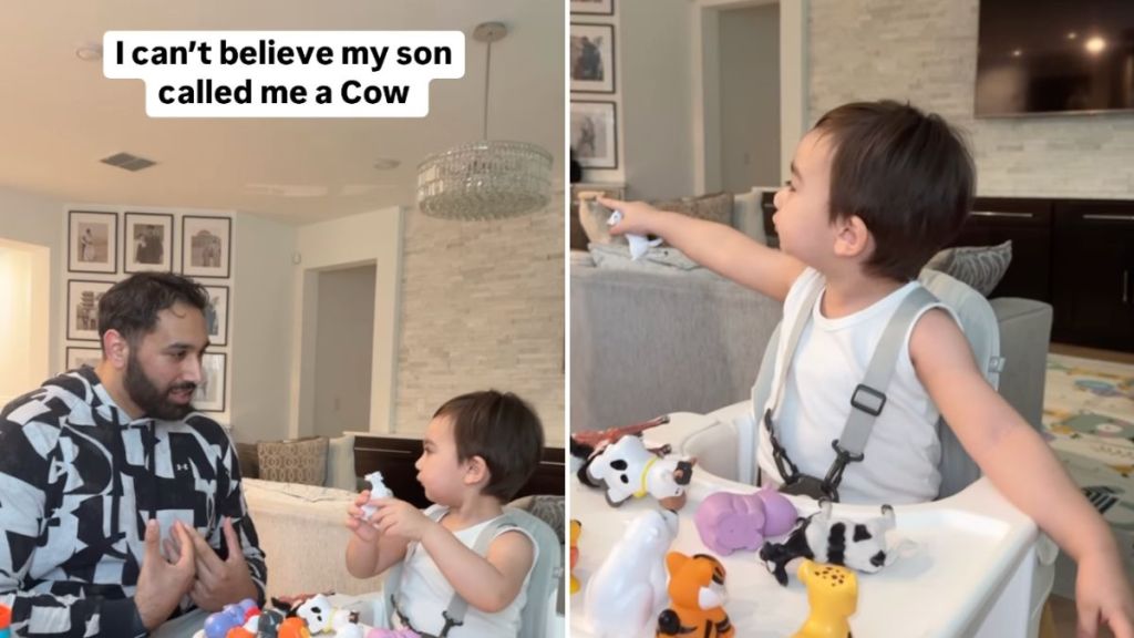 toddler dad cow parenting video