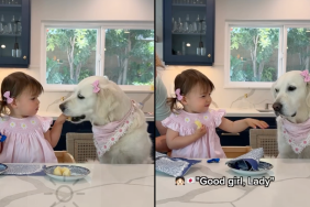 toddler share apple with dog