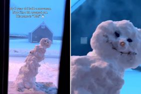 toddler parenting video