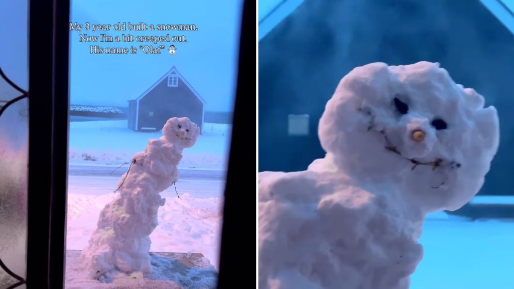 toddler parenting video