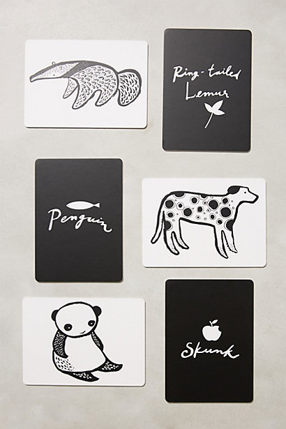 Animal Cards