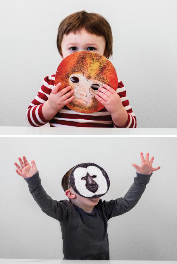 Monkey Masks