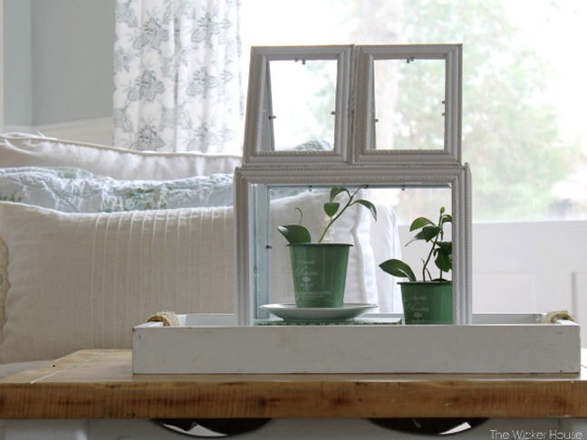 Picture Frame Terrarium