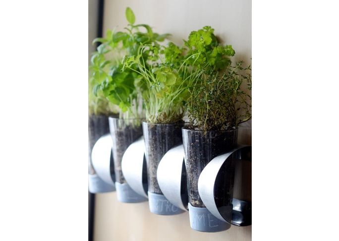 Indoor Herb Garden