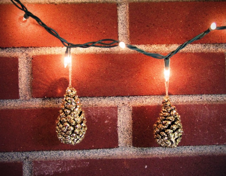 Pine Cone Lights