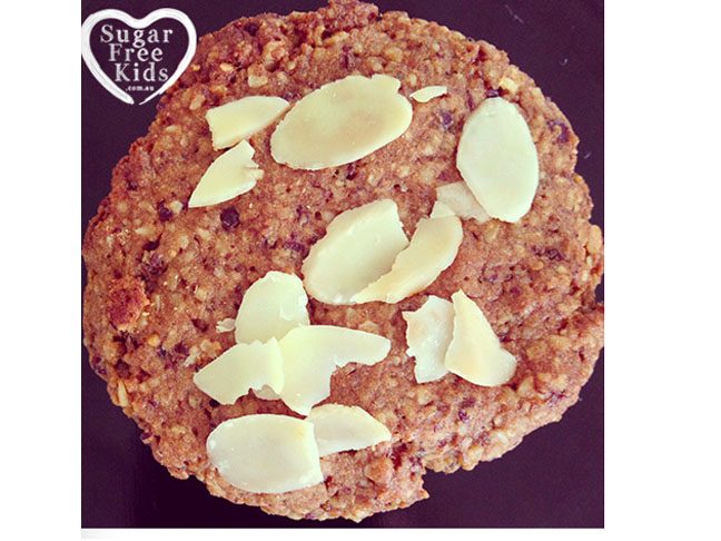 Sugar Free Lactation Cookies