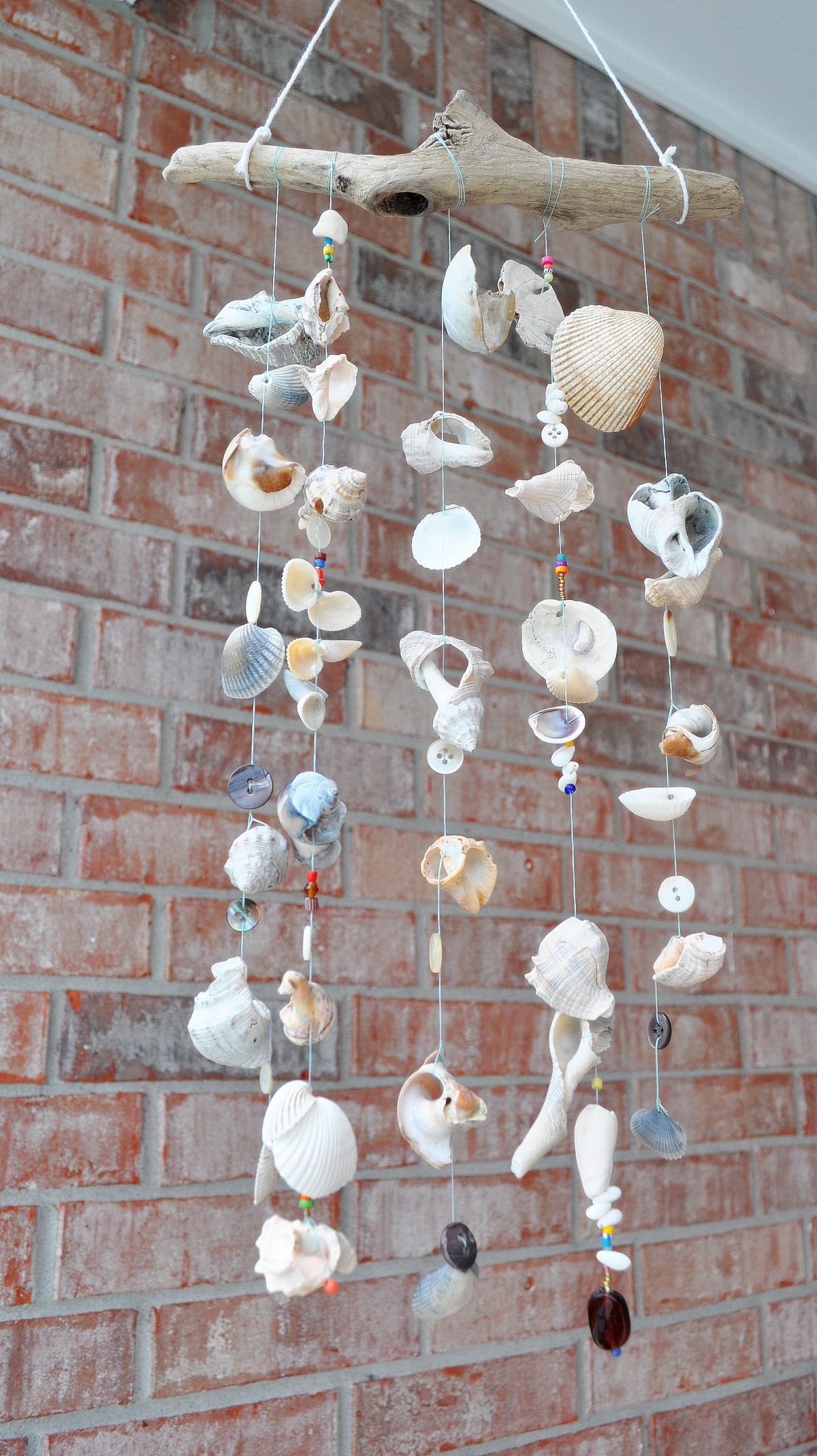 Seashell Wind Chimes