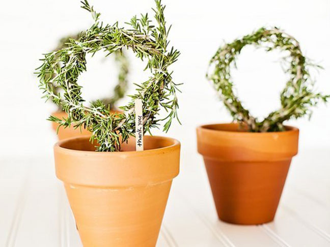 Rosemary Topiary Place Settings