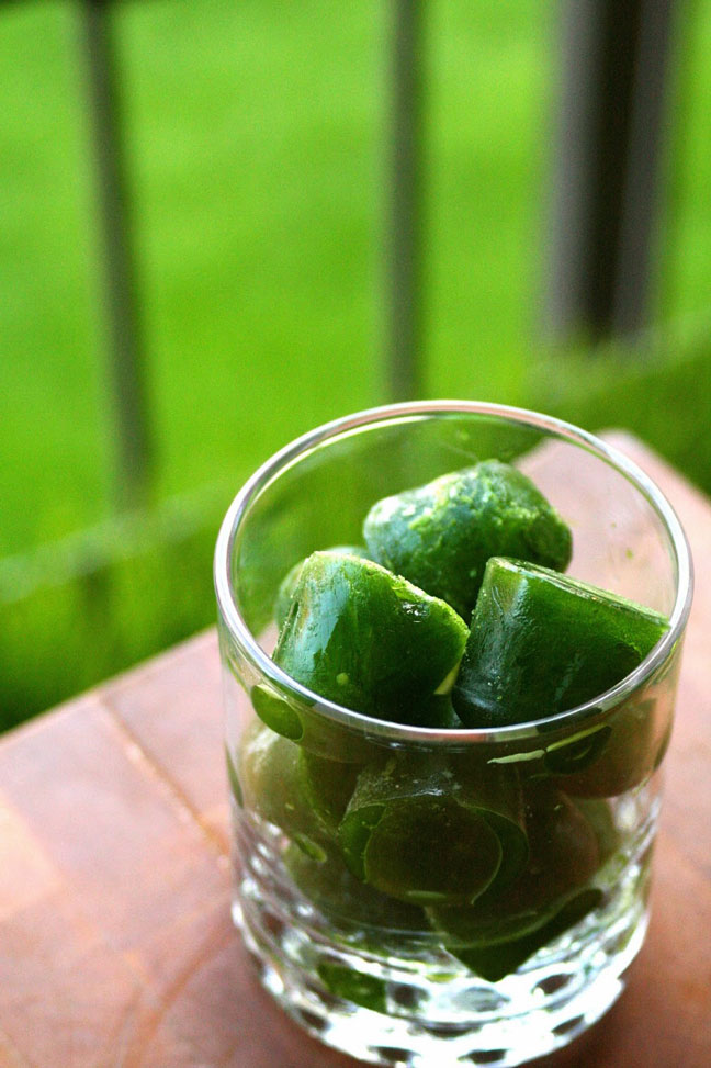 Wheatgrass Ice Cubes