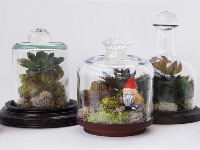 Terrariums