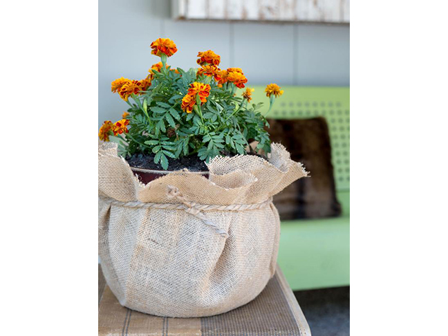 Rustic Planter    