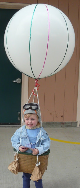 Hot Air Balloon Costume