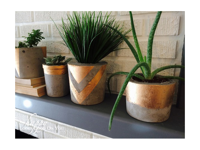 Concrete & Gold Vases