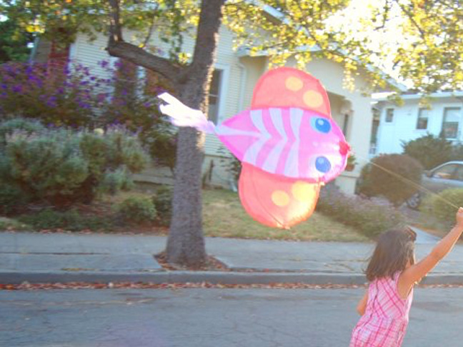 DIY Kite