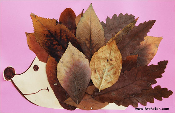 Leaf Hedgehog