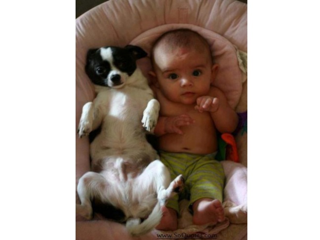 Our All-Time Favorite Photos of Kids & Their Dogs #18