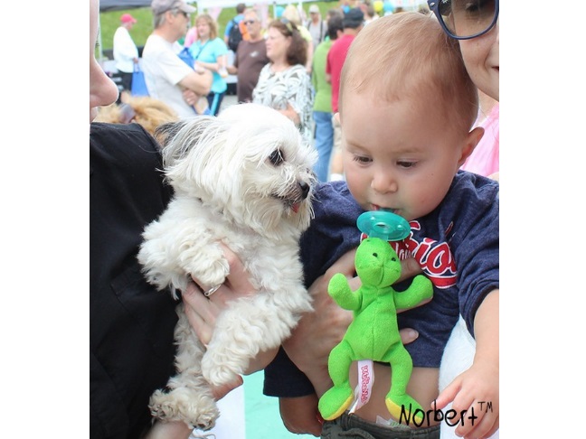 Our All-Time Favorite Photos of Kids & Their Dogs #19